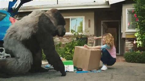 gorilla glue commercial|Gorilla Glue TV Spot, Tug of War